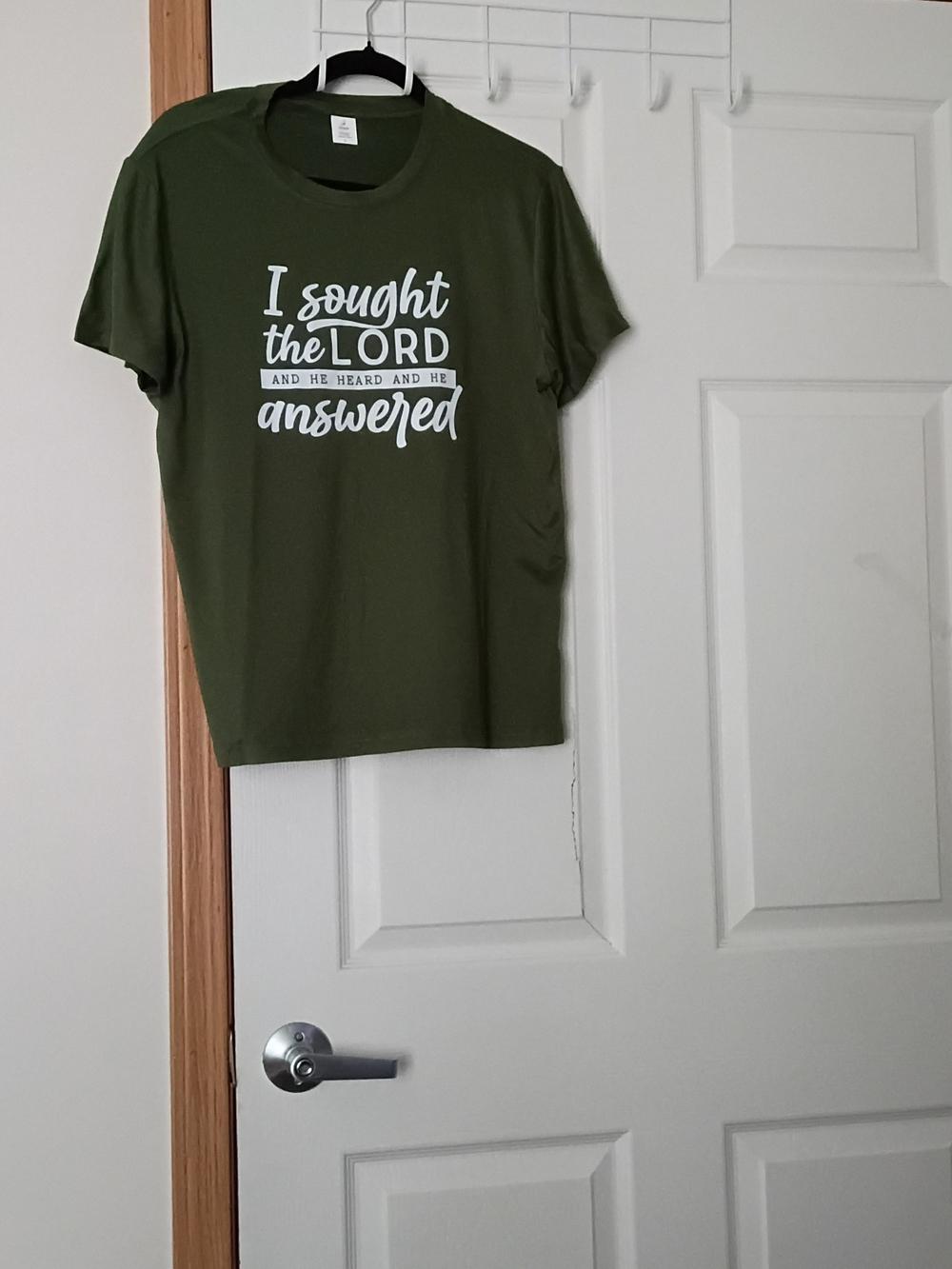 Source Unknown Olive Green Graphic Tee - "I Sought the Lord"